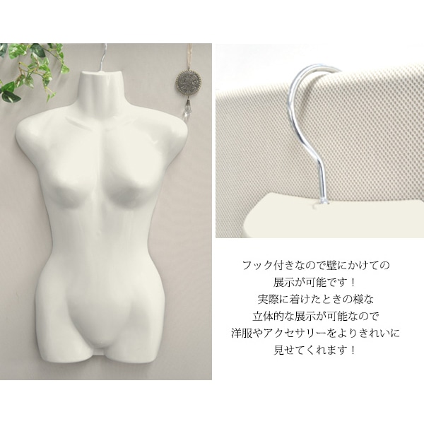 プラタ 婦人用 前面ハーフトルソー ywx144 1個（ご注文単位1個