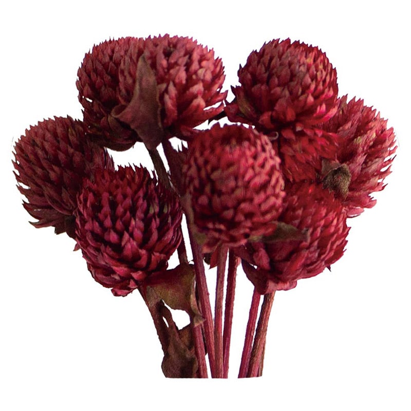 ふわりさま専用 三菱造船、商船三井向けLNG燃料フェリー「さんふらわあ むらさき