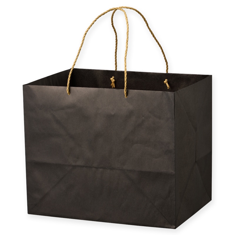 HEIKO 紙袋 PBファッションバッグ LL 未晒無地 10枚/袋 006470510 包装