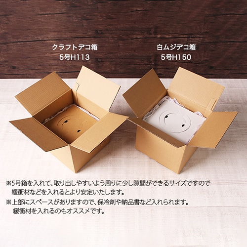 danbaさま専用 ZX様専用 DENBA HEALTH Charge