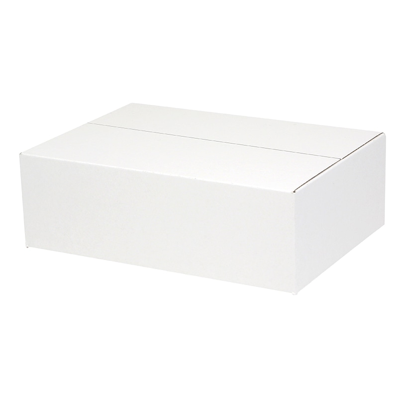 HEIKO 箱 ダンボール B4用-120 スリム 白無地 20枚/箱 002123303 包装