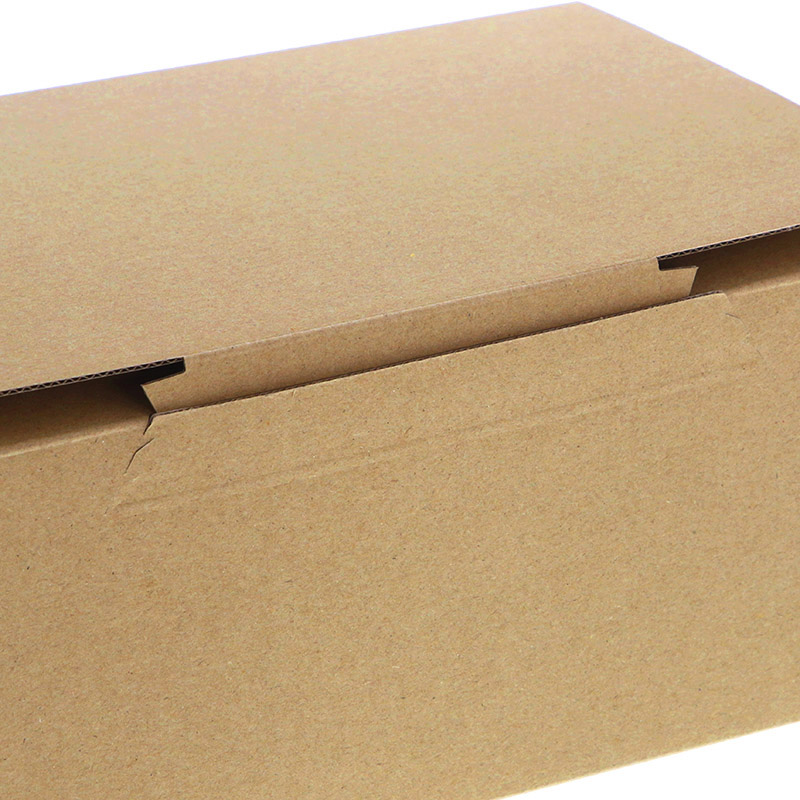 HEIKO 箱 ダンボール テープレス式 B5用-120 無地 20枚/箱 002123101