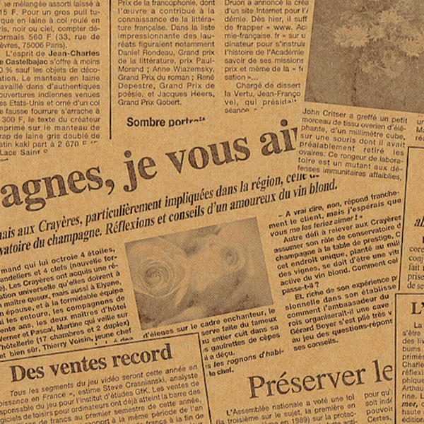 未晒レターフラワー 焦茶