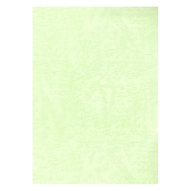 HEIKO カットペーパー レザック66 A4 薄緑 20枚/束 002134723 包装用品