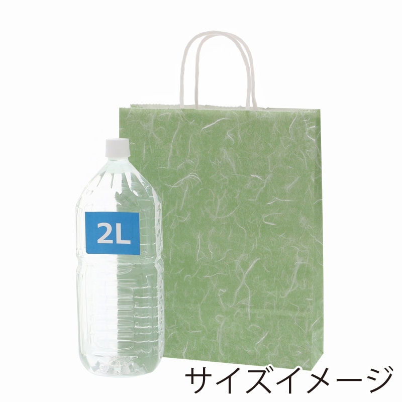 【20パックまとめ売り‼️】HEIKO 紙袋 トゥーゴーバッグ M 25枚 HEIKO トゥーゴーバッグ - 包装資材・食品容器のパックウェブ.ビズ