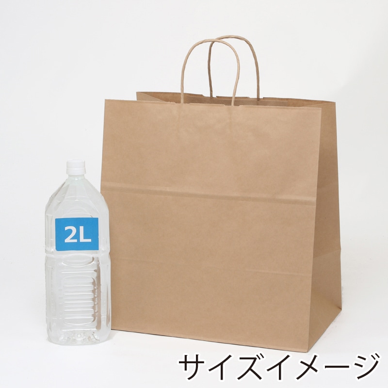 HEIKO 紙袋 25チャームバッグ 25CB 38-4 未晒 無地50枚/袋