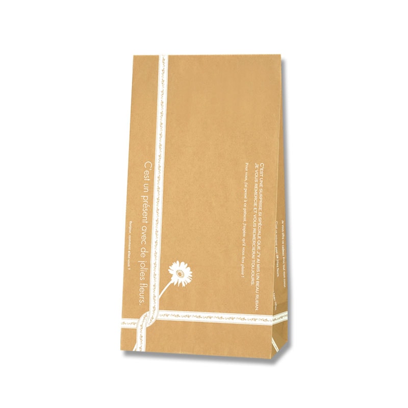 HEIKO 紙袋 角底袋 No.4 ルバン 100枚/袋 004046400 包装用品