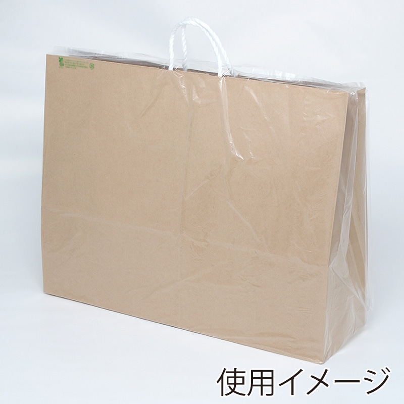 HEIKO ポリ袋 バイオレイニーポリ 62-58 (60-2用) 50枚/袋