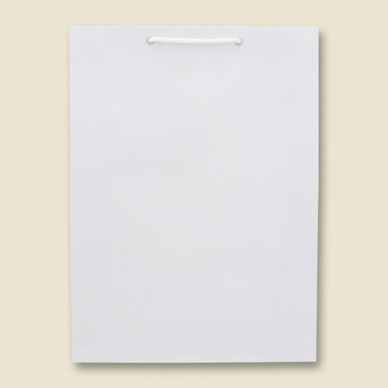 ケース販売HEIKO 紙袋 ブライトバッグ G2 白 006138001 1ケース(10枚入×15袋 合計150枚)