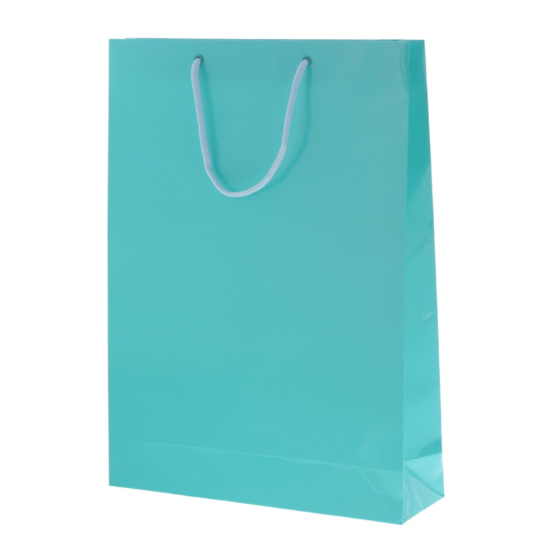 HEIKO 紙袋 ブライトバッグ G2 浅葱 10枚/袋