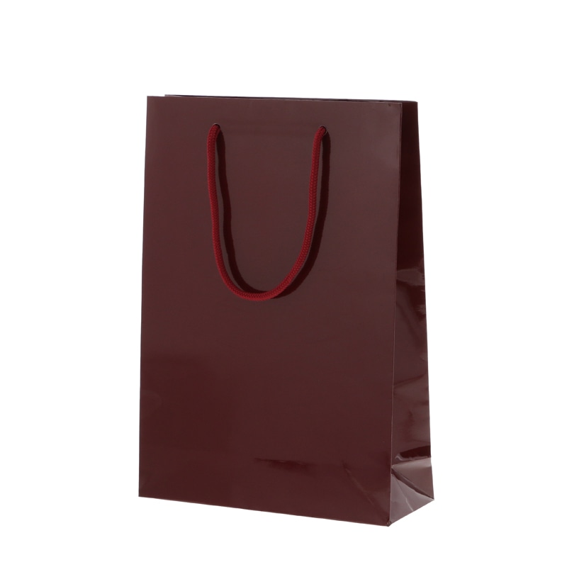 HEIKO 紙袋 ブライトバッグ SWT エンジ 10枚/袋