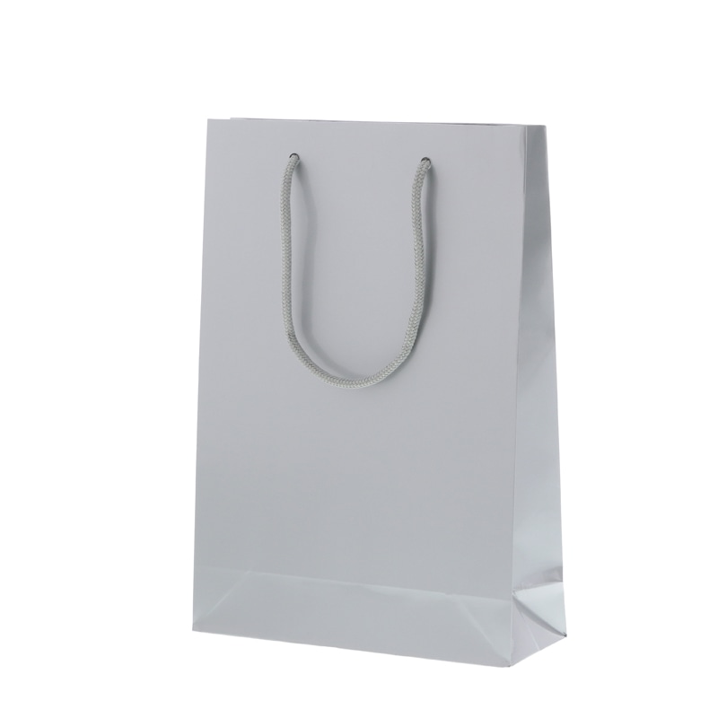 HEIKO 紙袋 ブライトバッグ SWT ギン 10枚/袋