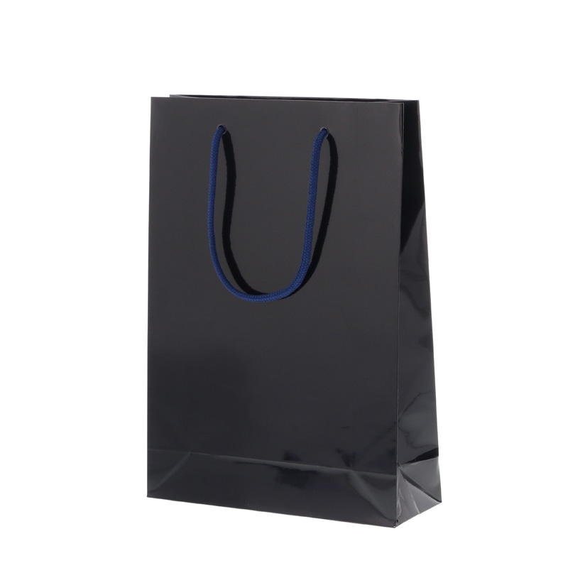 HEIKO 紙袋 ブライトバッグ SWT シコン 10枚/袋