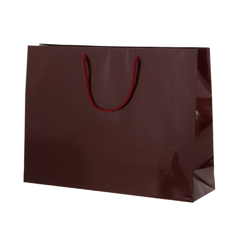 HEIKO 紙袋 ブライトバッグ Y2 エンジ 10枚/袋