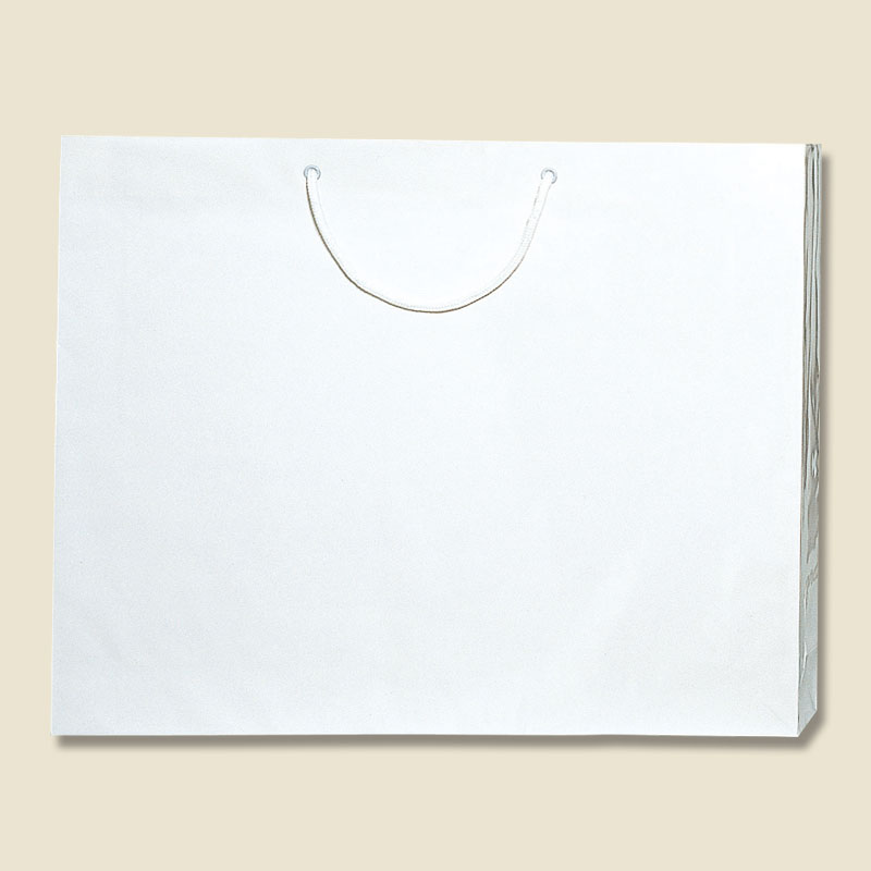 HEIKO 紙袋 ブライトバッグ L 白 10枚/袋