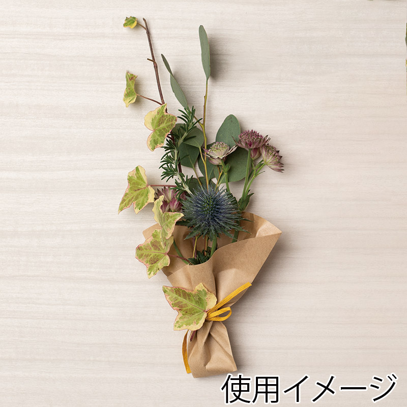HEIKO スナック三角袋 12-13 未晒無地 100枚/袋 004738293 包装