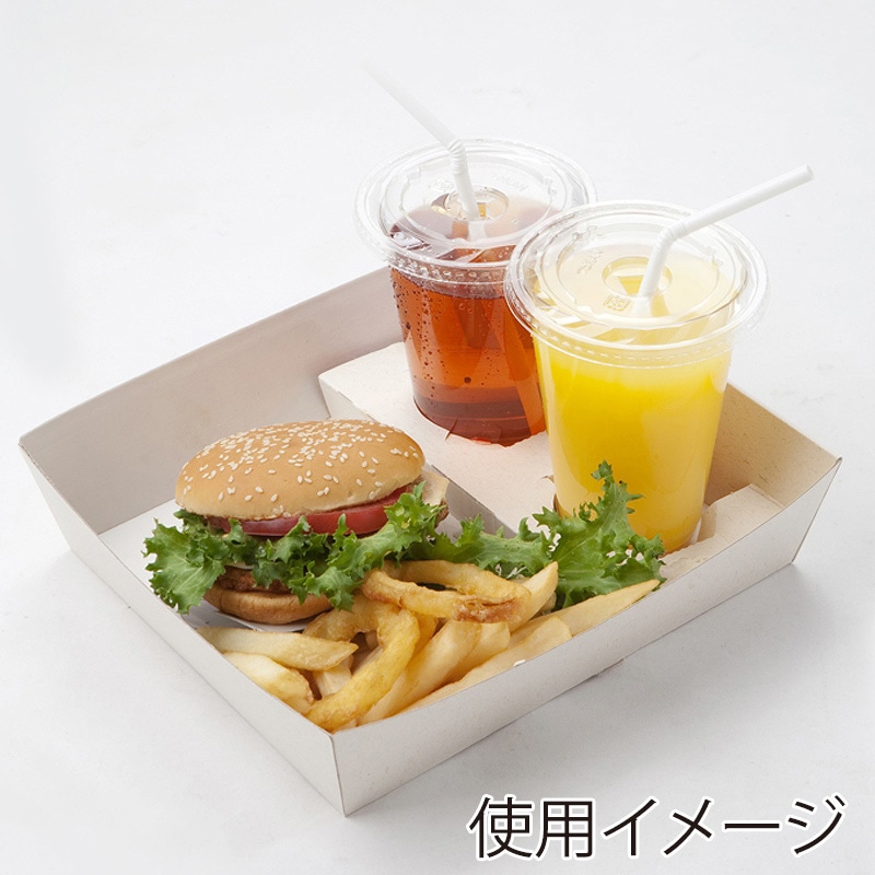 HEIKO 食品容器 エコパームボックス ランチトレー ホルダー付 20