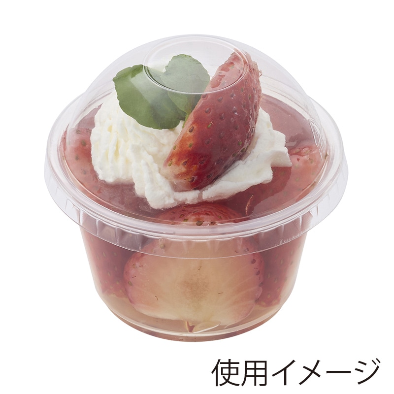 剥製のコガモ 新世界『透明標本』スケルトンケース（カプセルなし） | 株式会社いき