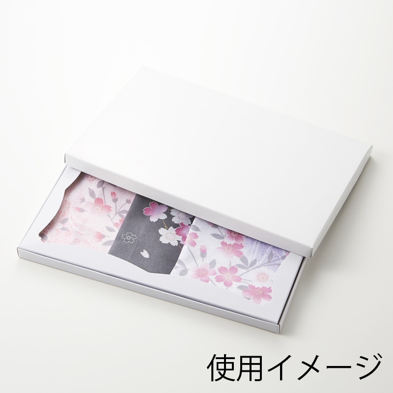 エイサンページＡ品上物○Mサイズ　3箱 三晃商会WEBページ