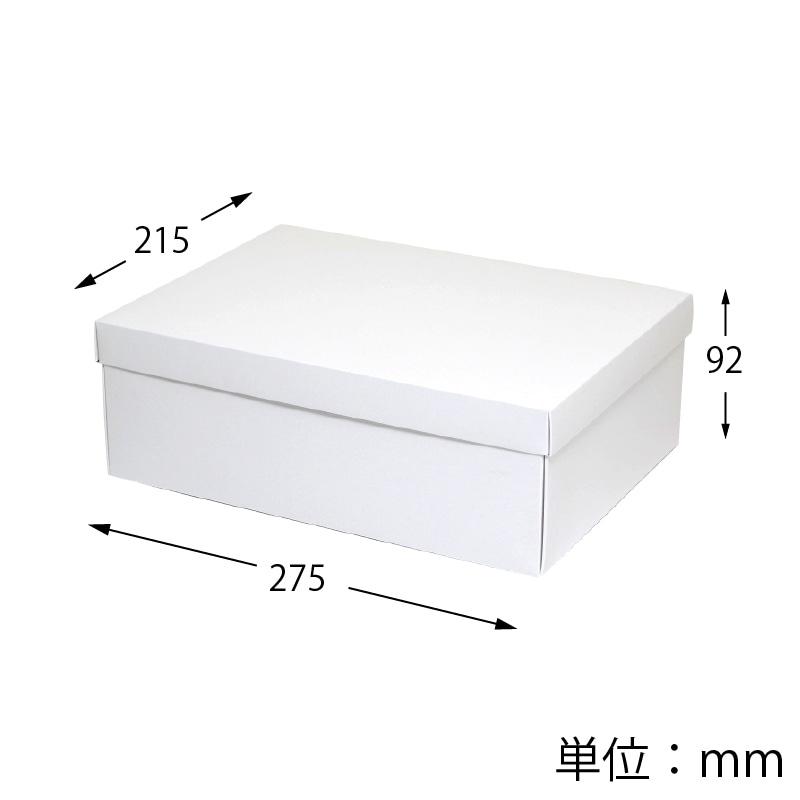 HEIKO 箱 白無地汎用ボックス カバン箱A 10枚/袋 006818600 包装