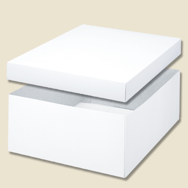 HEIKO 箱 バラエティボックス 0-14-125 10枚/袋