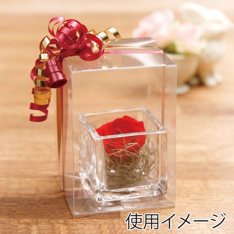 HEIKO 箱 クリスタルボックス ワンタッチタイプ Wシリーズ W-2
