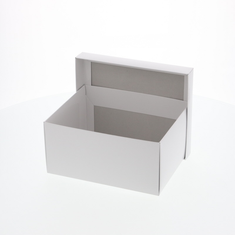 HEIKO 箱 エスプリボックス B-2 10枚/袋