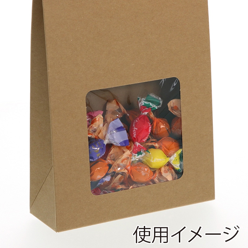 HEIKO 箱 ギフトボックス クラフトギフトBOX 窓付バッグS 10枚