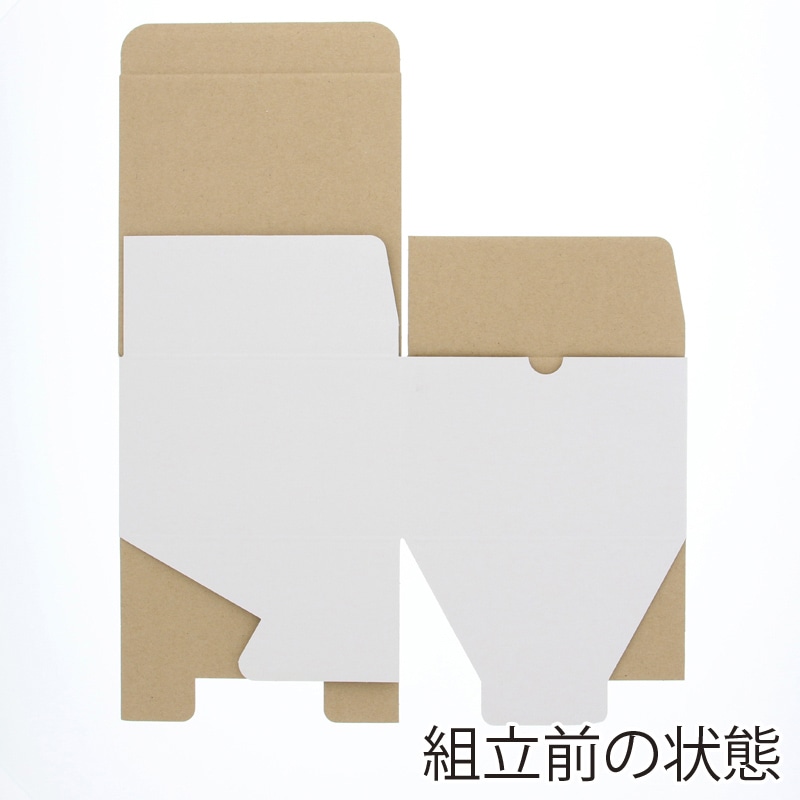 FUMIFUMI 高品質スクイーズお得BOX 2-5480-07 フリーズボックス 147×79×52mm 1箱（20個入） IB