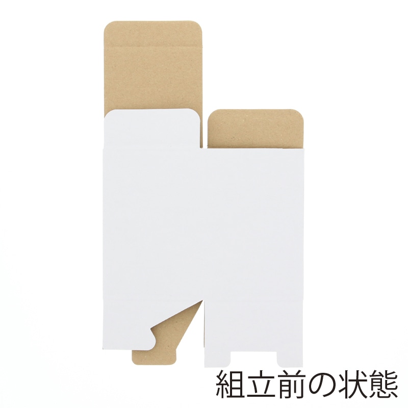 FUMIFUMI 高品質スクイーズお得BOX オーサムデイズ ボックス ウォーターシャワー | カー