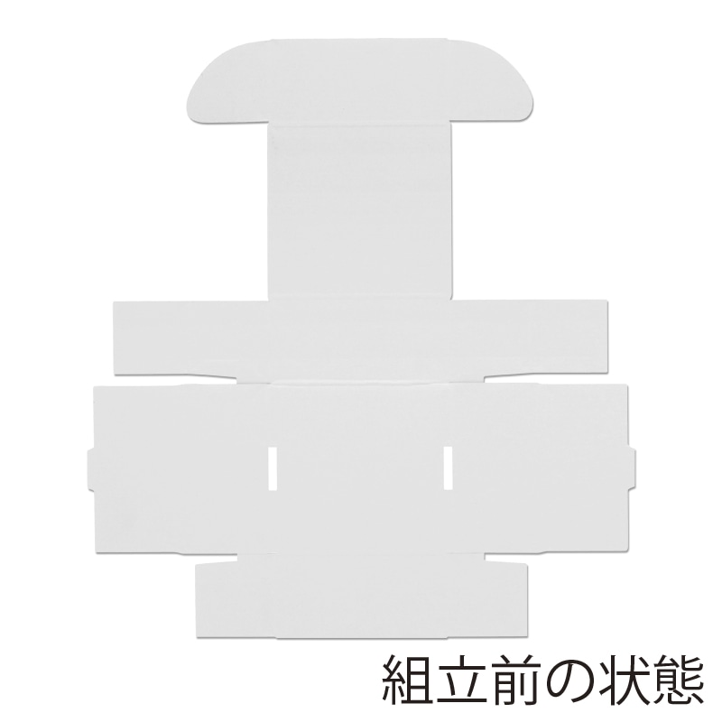 FUMIFUMI 高品質スクイーズお得BOX Amazon | ササガワ ギフトボックス オリジナルワークス PET 透明