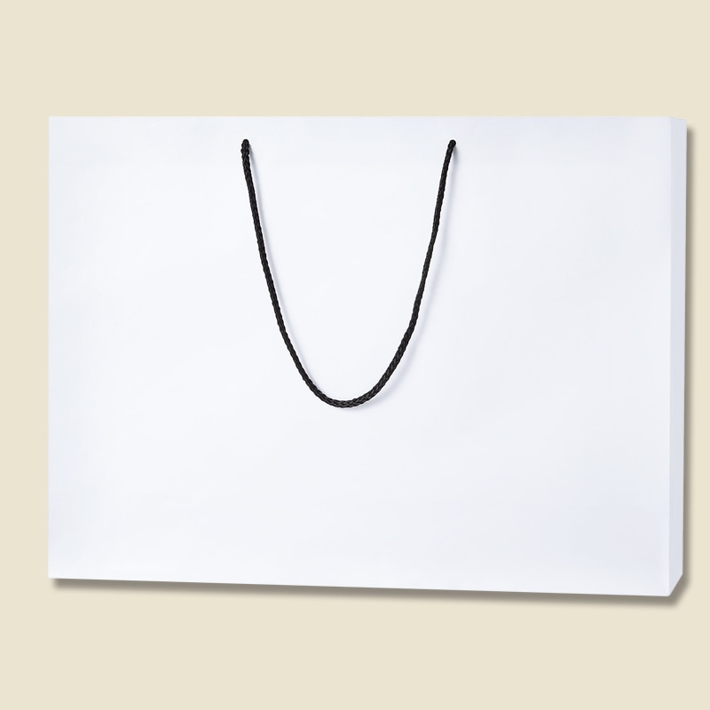 HEIKO 紙袋 ブライトバッグ 55-15 白MT(マットPP貼り) 10枚/袋