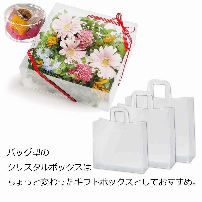 HEIKO 箱 ニュークリスタルボックス(組立式) BAGシリーズ BAG M