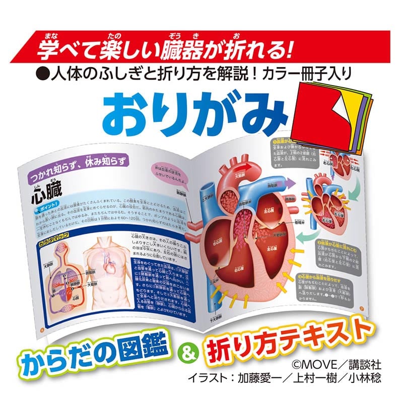【15冊セット】Galileo's Daughterなど　洋書　まとめ売り 15冊セット】Galileo's Daughterなど 洋書 まとめ売り - メルカリ