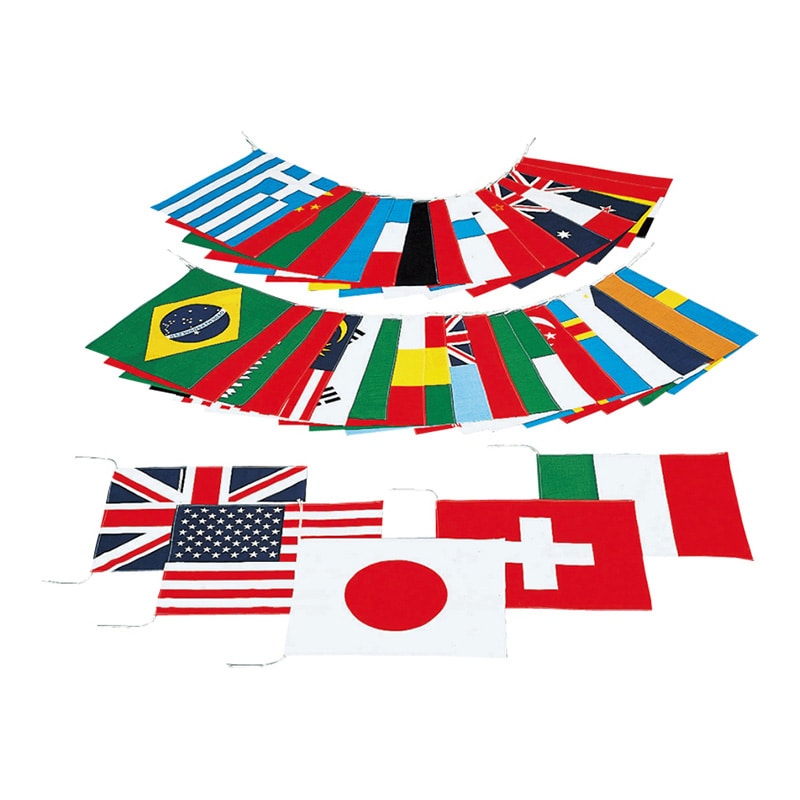 エバニュー 万国旗 40 EKA382 1組（ご注文単位1組）【直送品】 包装