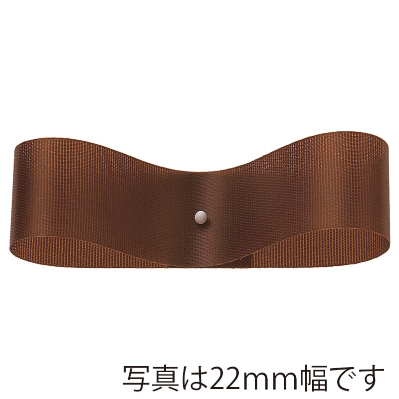 東京リボン リボン サテンEX 22×92 #67 ワインレッド 1巻（ご
