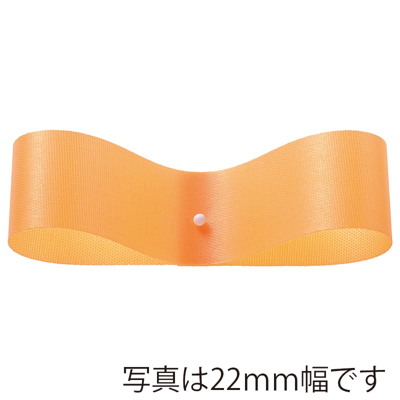 東京リボン リボン サテンEX 22×92 #26 アプリコット 1巻（ご