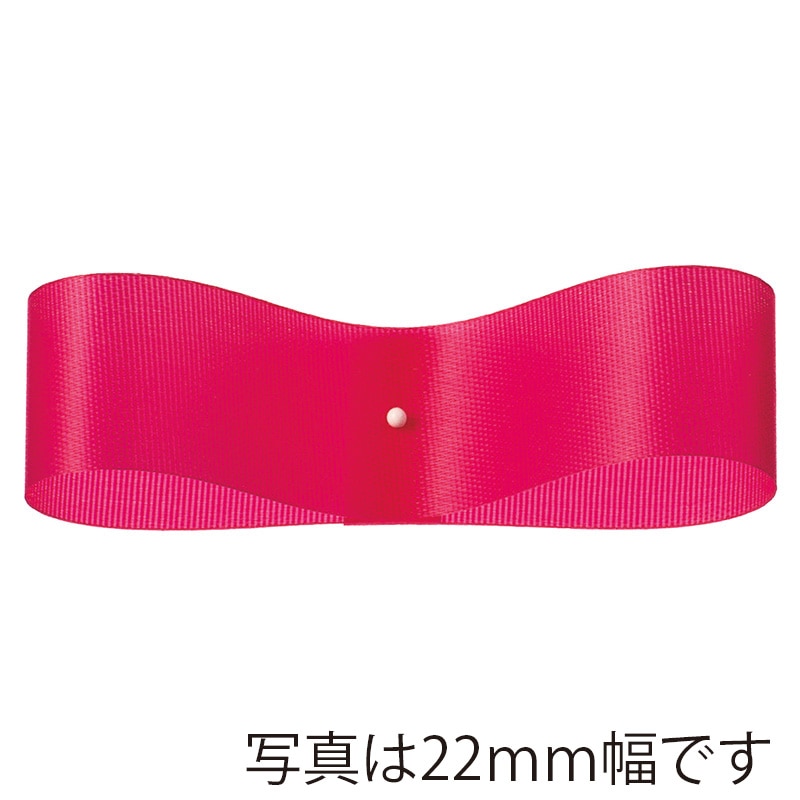 東京リボン リボン サテンEX 22×92 #94 ベージュピンク 1巻（ご
