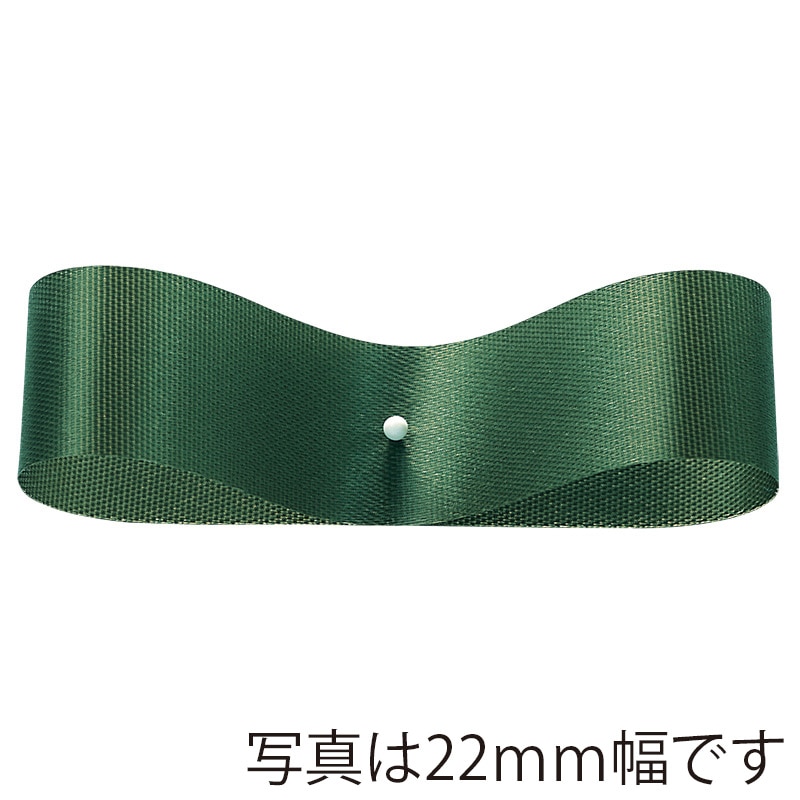 東京リボン リボン サテンEX 22×92 #26 アプリコット 1巻（ご