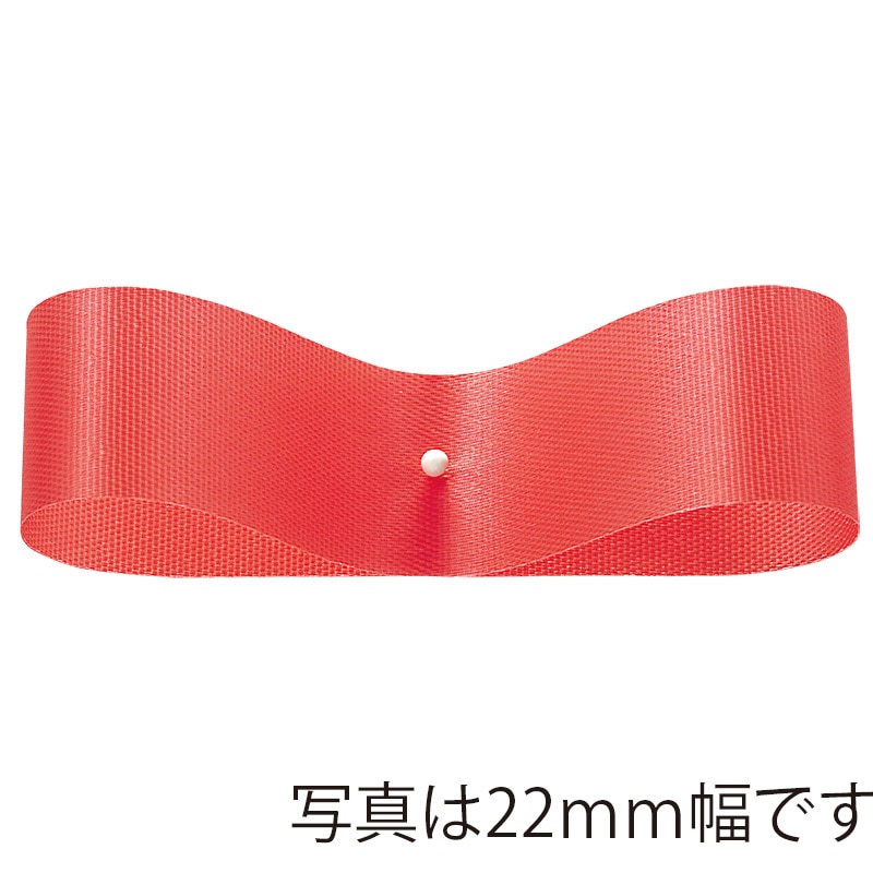 ぽいぽい　リボン　グレー　M 東京リボン リボン サテンEX 22×92 #94 ベージュピンク 1巻（ご