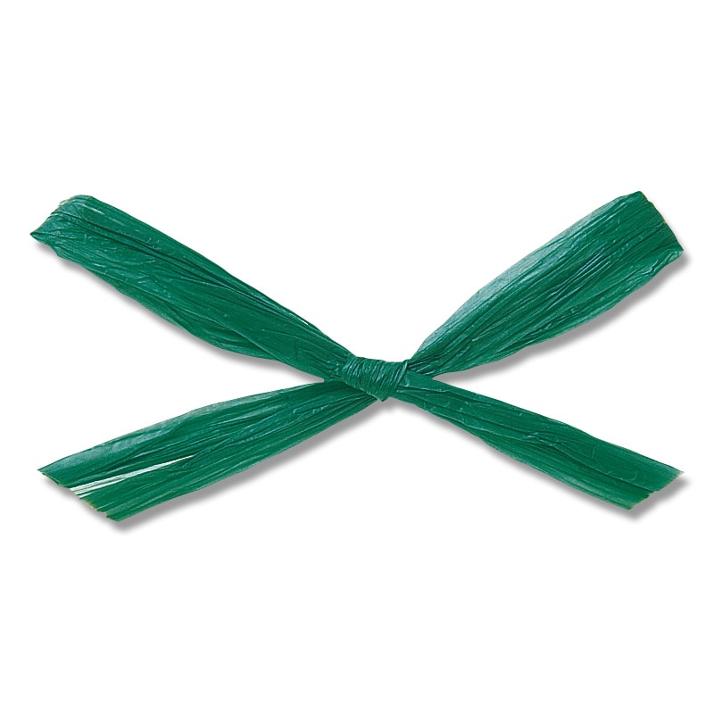 #62 ビリディアン