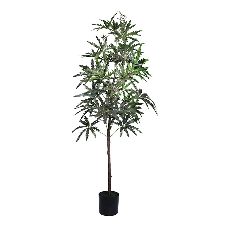 ビバレン 花野井アグリ(2枚目あり) ビバレン 花野井アグリ(2枚目あり) ビバレン 花野井アグリ(2枚目