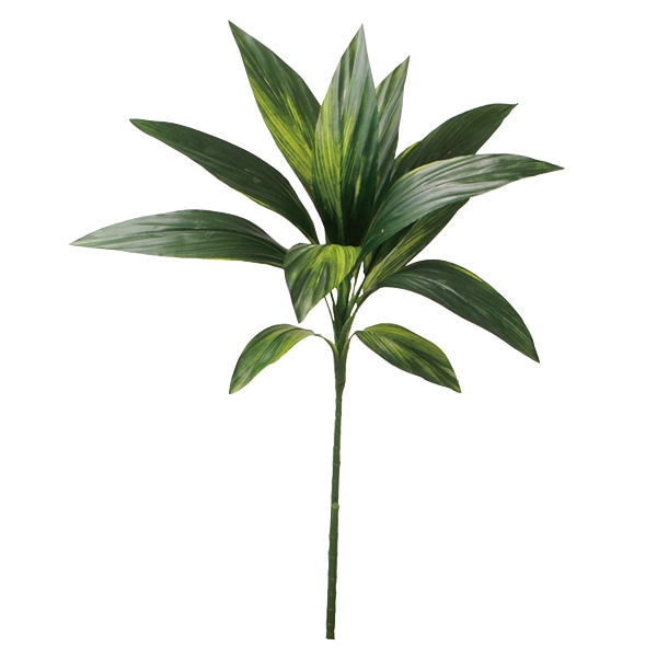 ビバ工芸 造花 ドラセナ グリーン VDG5362 1本(ご注文単位1本)【直送品】