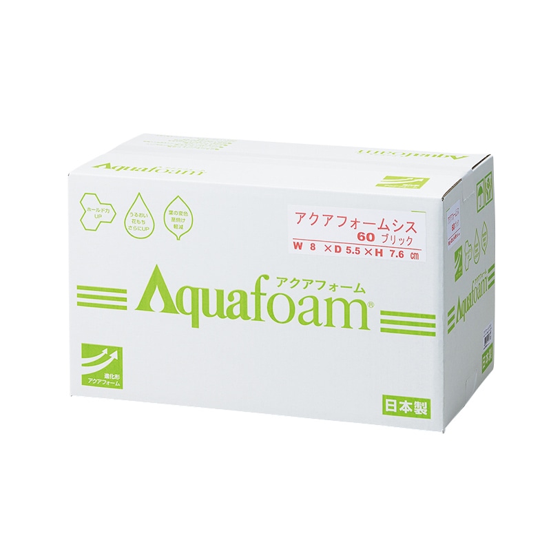 オアシス フローラルフォーム マックスライフ スタンダード 1箱(48個入