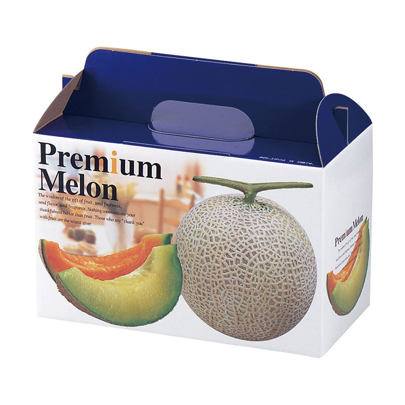 ヤマニパッケージ 手提サービス箱 プレミアムメロン 2ヶ入 L-415 10枚