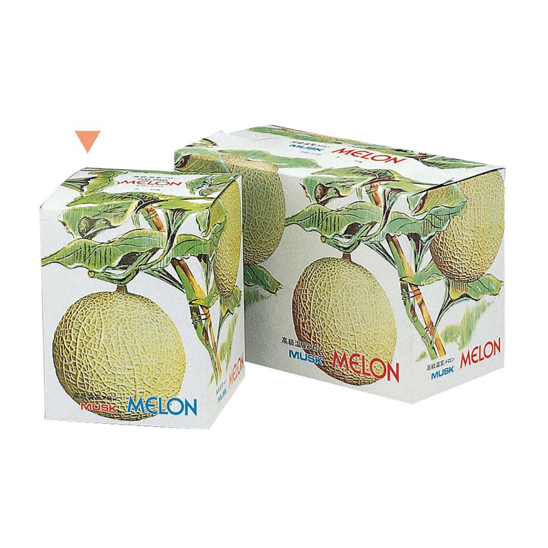 メロン① ヤマニパッケージ 北海道メロン1ヶ入(100入) L-2052 | 資材の激安販売