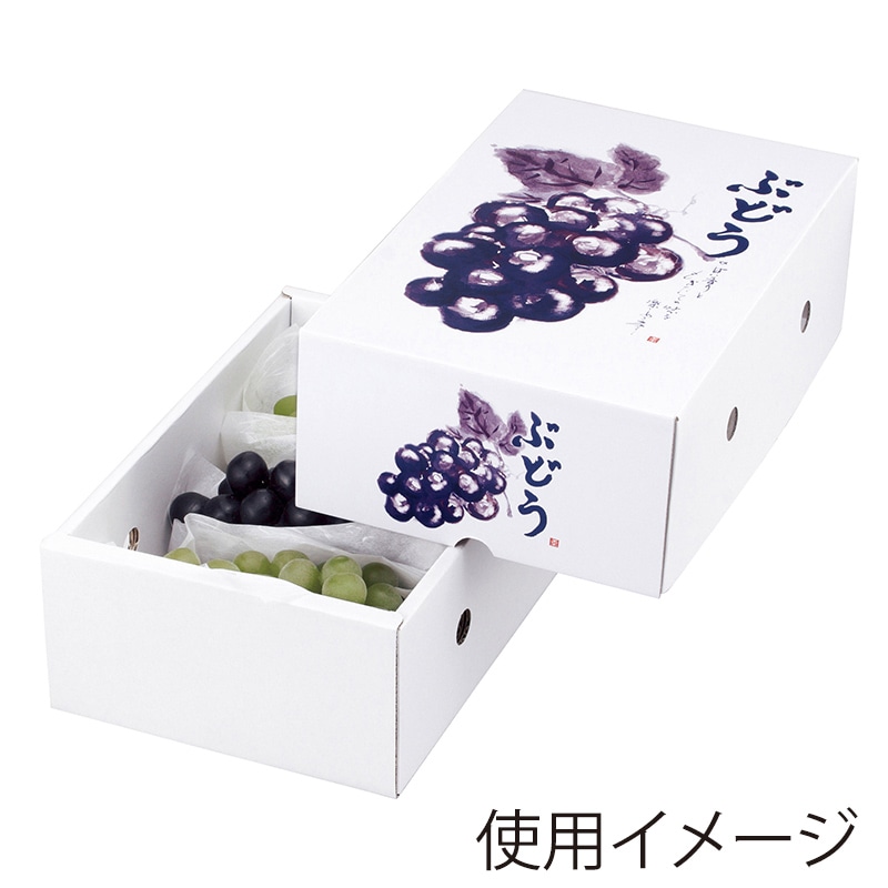 Nommi 果然有趣フルーツシリーズ　未開封ボックス(シュリンク付) シャイニー45 ベーシック｜郵便局のネットショップ