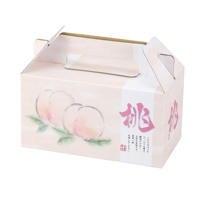 ⚠️ヤッサン様　家庭用桃2箱　専用ページ 07-07-008 もも(CX)大玉2.5kg - 山形県天童市｜ふるさと