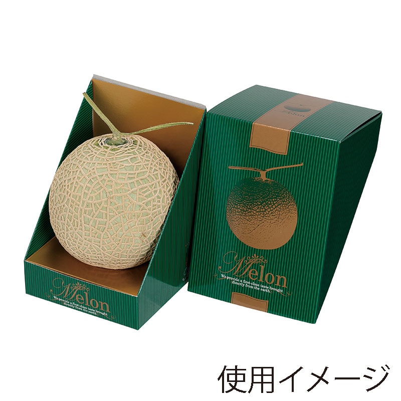 ヤマニパッケージ 飾り箱 メロン飾 グリーン L-2351 10枚/束（ご