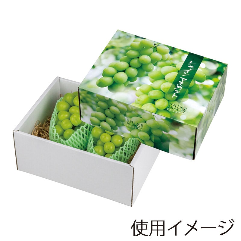 セノビルマスカット味１箱8/13入荷新鮮(\"⌒∇⌒\")8/21日値上げします！ 楽天市場】ドクターセノビル マスカット味 60袋 セノビル 成長期